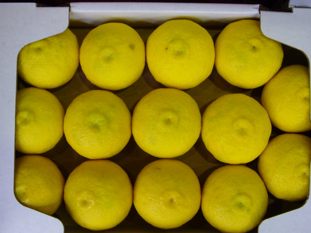 黄柚子